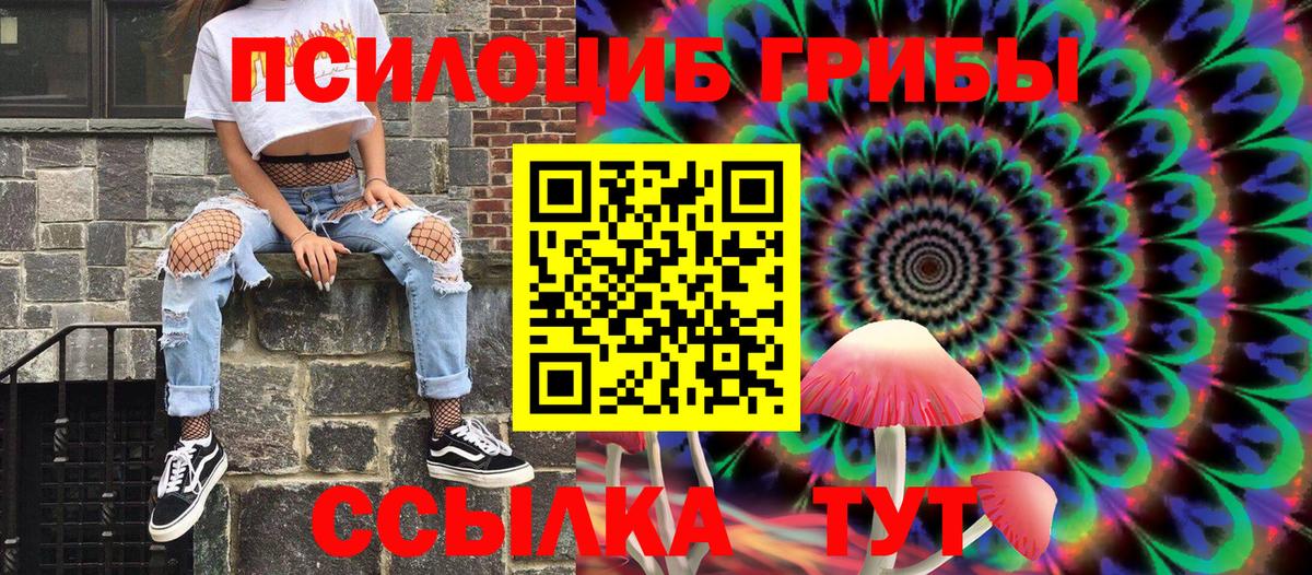 Галлюциногенные грибы Cubensis Краснокамск
