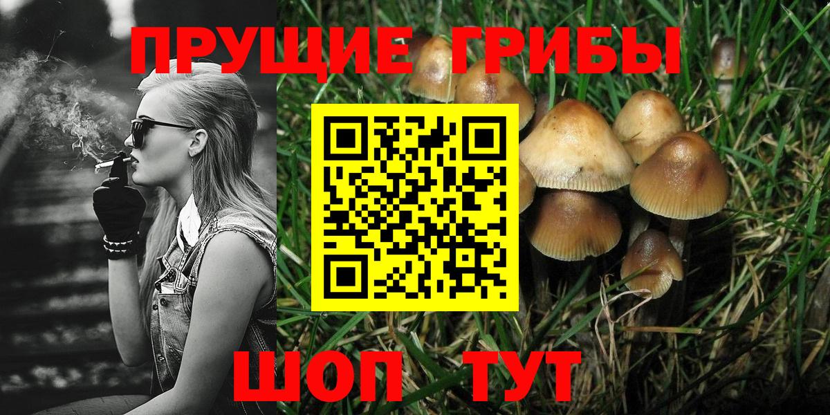 Галлюциногенные грибы GOLDEN TEACHER  Вход с VPN  Псилоцибиновые грибы мицелий  закладка  Краснокамск 